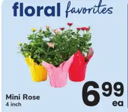 ACME Mini Rose offer