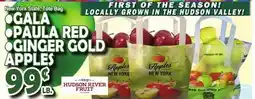 Bravo Supermarkets GALA • PAULA RED • GINGER GOLD APPLES offer