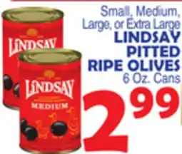 Bravo Supermarkets LINDSAY PITTED RIPE OLIVES offer