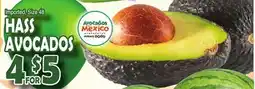 Bravo Supermarkets HASS AVOCADOS offer