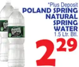 Bravo Supermarkets POLAND SPRING NATURAL SPRING WATER offer