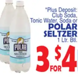 Bravo Supermarkets POLAR SELTZER offer