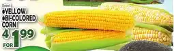 Bravo Supermarkets YELLOW, BI-COLORED CORN offer
