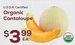 DeCicco & Sons Organic Cantaloupe offer