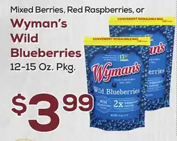 DeCicco & Sons Wyman's Wild Blueberries offer