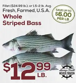 DeCicco & Sons Whole Striped Bass offer