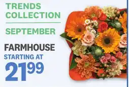Kings Food Markets TRENDS COLLECTION SEPTEMBER FARMHOUSE offer