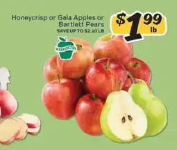Winn Dixie Honeycrisp or Gala Apples or Bartlett Pears offer