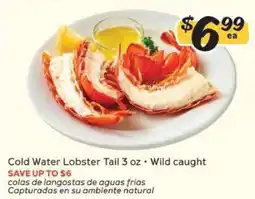 Winn Dixie Cold Water Lobster Tail offer