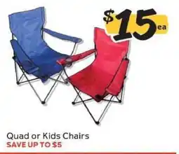Winn Dixie Quad or Kids Chairs offer