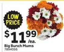 Stop&Shop Big Bunch Mums offer