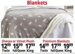 Ocean State Job Lot Sherpa or Velvet Plush Blankets offer