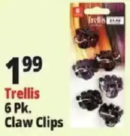 Ocean State Job Lot Trellis claw clips offer