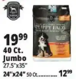Ocean State Job Lot Puppy Pads offer