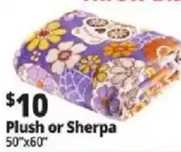 Ocean State Job Lot Plush or Sherpa offer