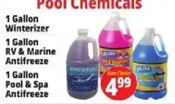 Ocean State Job Lot Grass Pool Chemicals offer