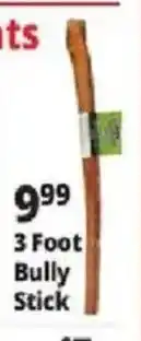 Ocean State Job Lot 12" Bully Stick offer