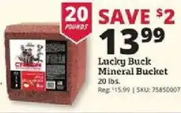 Rural King Lucky Buck Mineral Bucket offer