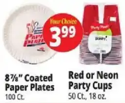 Ocean State Job Lot Party Planet coated paper plates offer