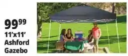 Ocean State Job Lot Ashford Gazebo offer