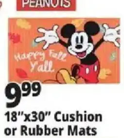 Ocean State Job Lot Peanuts Mickey Mouse cushion or rubber mats offer