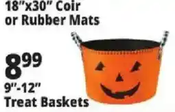 Ocean State Job Lot Coir or Rubber Mats offer