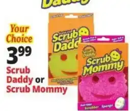 Ocean State Job Lot Scrub Daddy or Scrub Mommy offer