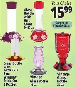 Ocean State Job Lot Your Choice Glass Bottle with Ant Moat offer