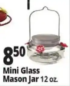 Ocean State Job Lot Mini Glass Mason Jar offer