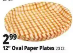 Ocean State Job Lot 12" Oval Paper Plates offer