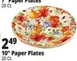 Ocean State Job Lot Paper Plates offer