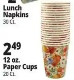 Ocean State Job Lot Lunch Napkins offer