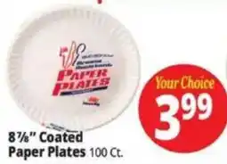 Ocean State Job Lot Brand Paper Plates offer
