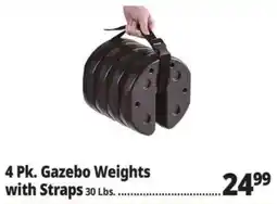 Ocean State Job Lot Gazebo Weights offer