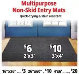 Ocean State Job Lot Multipurpose Non-Skid Entry Mats offer