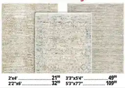 Ocean State Job Lot area rug offer