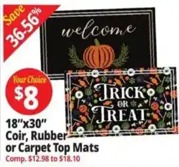 Ocean State Job Lot Your Choice Coir, Rubber or Carpet Top Mats offer