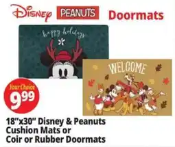Ocean State Job Lot Disney & Peanuts Doormats offer