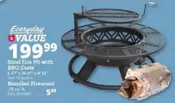 Rural King Steel Fire Pit with BBQ Grate offer
