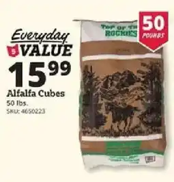 Rural King Top of the Rockies Alfalfa Cubes offer