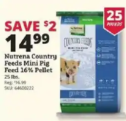 Rural King Nutrena Country Feeds Mini Pig Feed offer