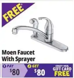 Ocean State Job Lot Moen Faucet With Sprayer offer