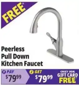 Ocean State Job Lot Peerless pull down kitchen faucet offer