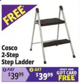 Ocean State Job Lot Cosco 2-Step Step Ladder offer