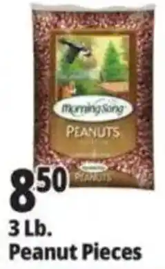 Ocean State Job Lot Morning Song peanuts offer