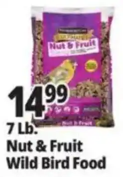 Ocean State Job Lot Nut & Fruit Wild Bird Food offer