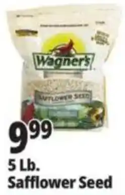 Ocean State Job Lot Wagner's Safflower Seed offer