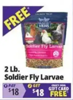 Ocean State Job Lot Waggly Hens Soldier Fly Larvae offer