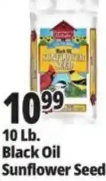 Ocean State Job Lot Black Oil Sunflower Seed offer