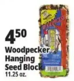 Ocean State Job Lot Woodpecker Hanging Seed Block offer